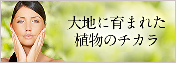 大地に育まれた植物のチカラ HARICOC 28 シャンプー